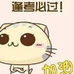 2019年深圳成人高考考試是什么時候