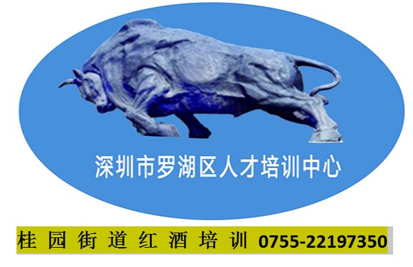 桂園街道紅酒培訓