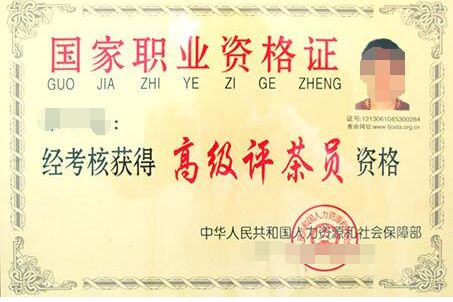 高級評茶員培訓(xùn)