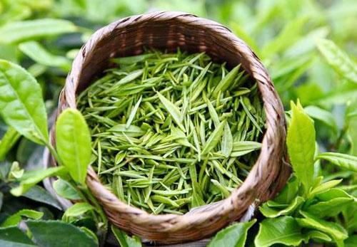 福田區(qū)評(píng)茶員