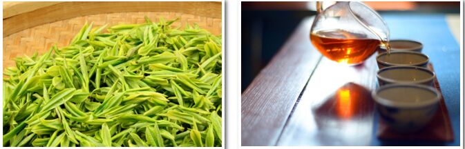 評茶師培訓課程