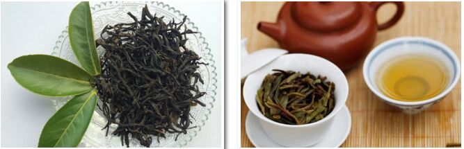 評茶師培訓課程