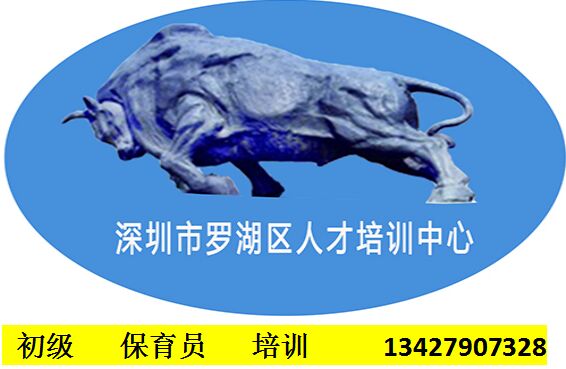 初級保育員培訓(xùn)