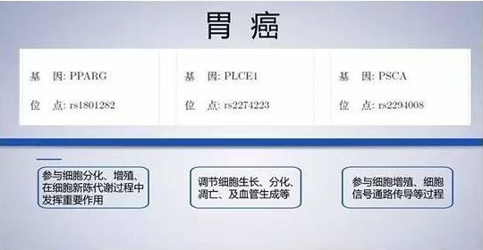 如何看dna檢測報告