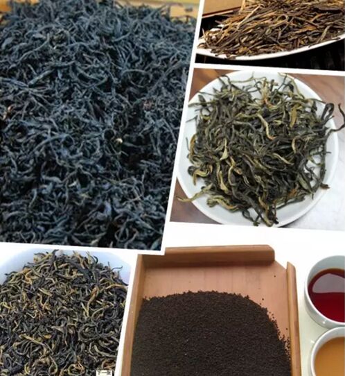 高級評茶員培訓