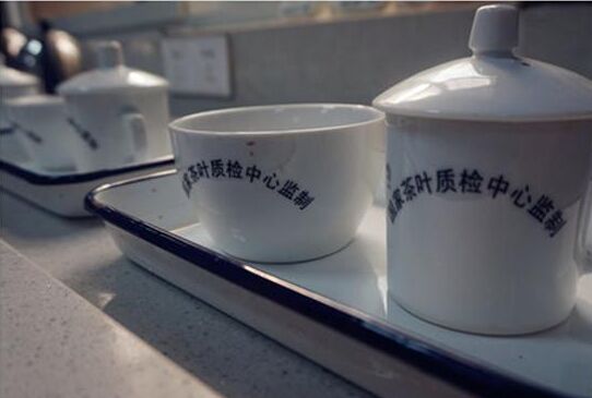 2019年初級評茶員考試試題