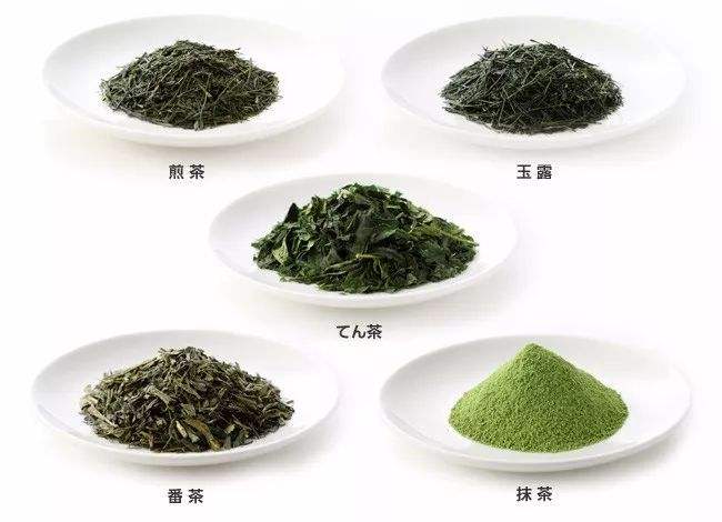 日本蒸青綠茶種類