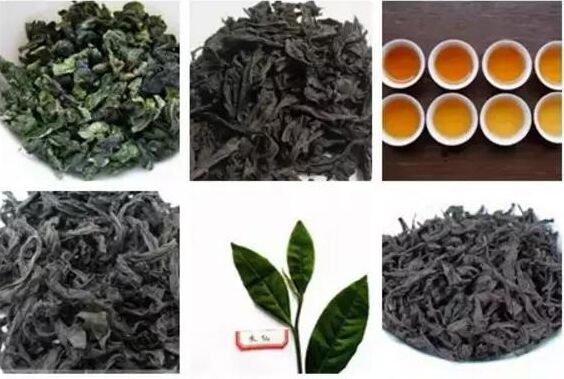 四級評茶員報考條件