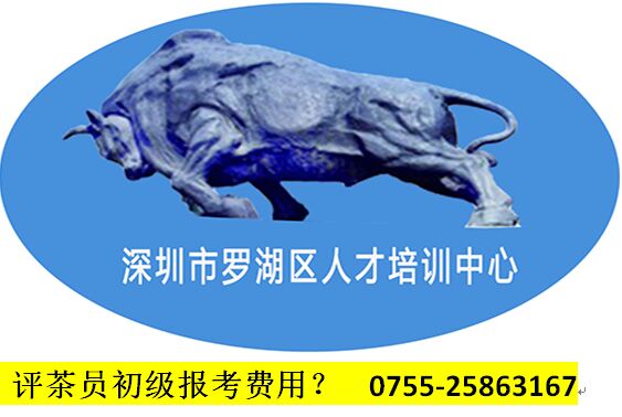 2019年保育員考試